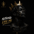 Nothing Like Me
